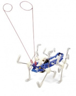 Kikkerland Mxykikker Wind Up (1504) Kikkerland Mxykikker Wind Up (1504)