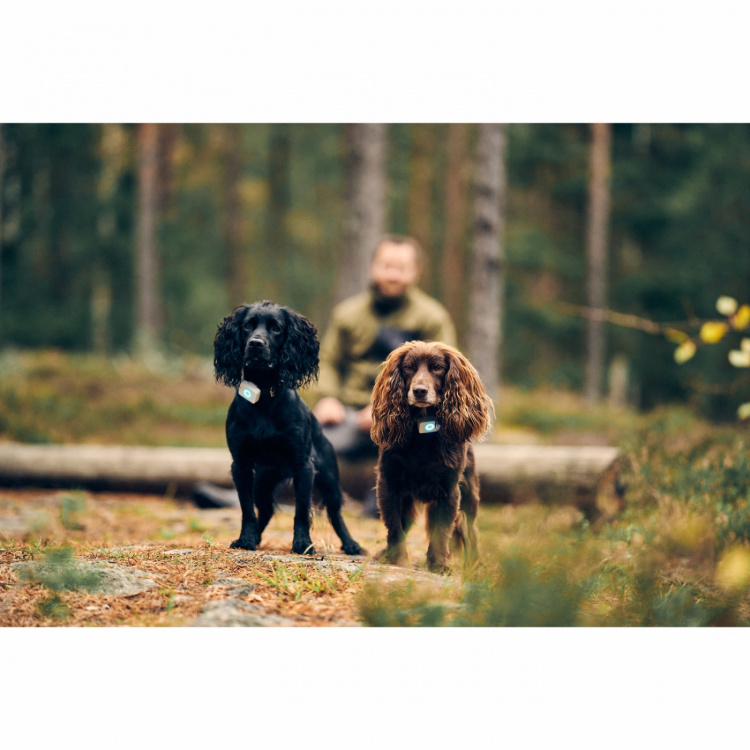 Lildog 2 GPS-sporingsenhet for hunder