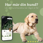 Lildog 2 GPS-sporingsenhet for hunder