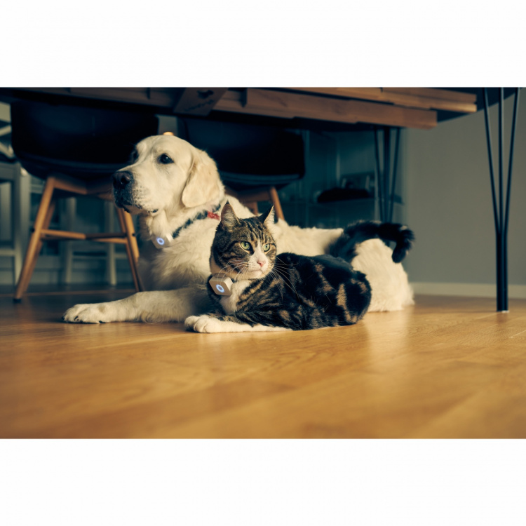 Lilcat 2 GPS-sporingsenhet for katter