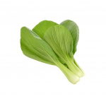 Click & Grow - Smart Garden Refill 3-pakning - Pak choi (SGR58X3)