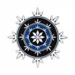 Fanatik Dungeons & Dragons Limited Edition Neverwinter Heraldry-medaljong Fanatik Dungeons & Dragons Limited Edition Neverwinter Heraldry-medaljong