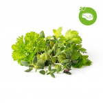 Click & Grow - Smart Garden Refill 9-pakning Grill & Steak Mix