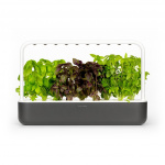 Click & Grow - Smart Garden 9 Startsett (Farge: Mørk grå) (SG9S8UNI)