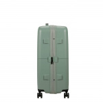 American Tourister Koffert DashPop Spinner 67/24 Iceberg Greenn