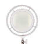 Nedis Forstørrelsesbordlampe | Linsestyrke: 3 Diopter | 6500 K | 6 W | 700 lm | Hvit Nedis Forstørrelsesbordlampe | Linsestyrke: 3 Diopter | 6500 K | 6 W | 700 lm | Hvit