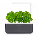 Click & Grow Smart Garden 3 Start-sett (Farge: Mørk grå) (SGS8UNI)