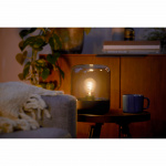 Philips LED SceneSwitch E27 A60 7-3,8-1W (50W) Deco spiral Philips LED SceneSwitch E27 A60 7-3,8-1W (50W) Deco spiral