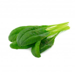 Click & Grow Smart Garden Refill 3-pakning Mibuna