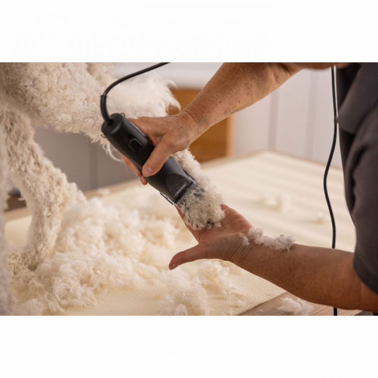 Wahl Max50+ nettdrevet dyreklipper