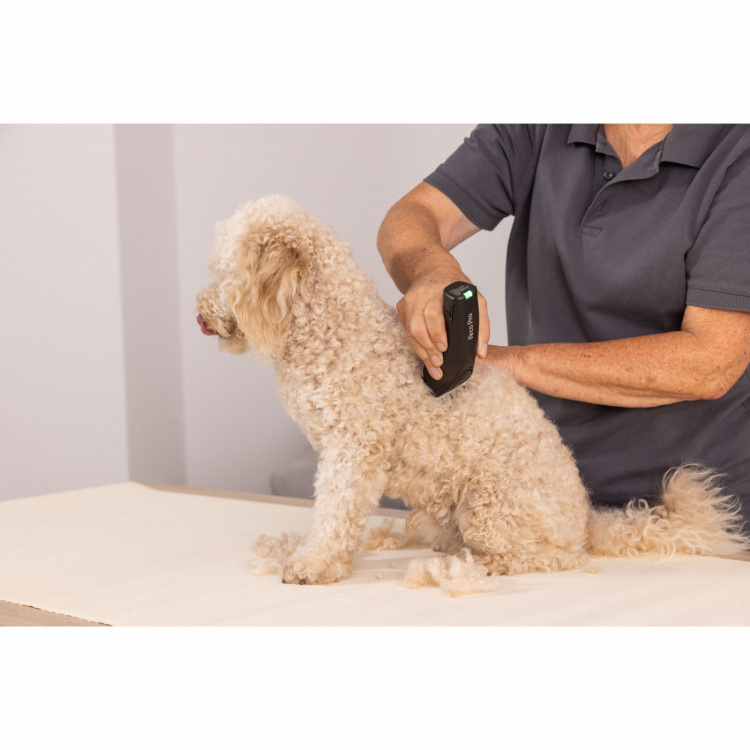 Wahl ArcoPro trådløs hårklipper Wahl ArcoPro trådløs hårklipper