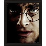 Pyramid International HARRY POTTER (HARRY VS VOLDEMORT) - INNRAMMET