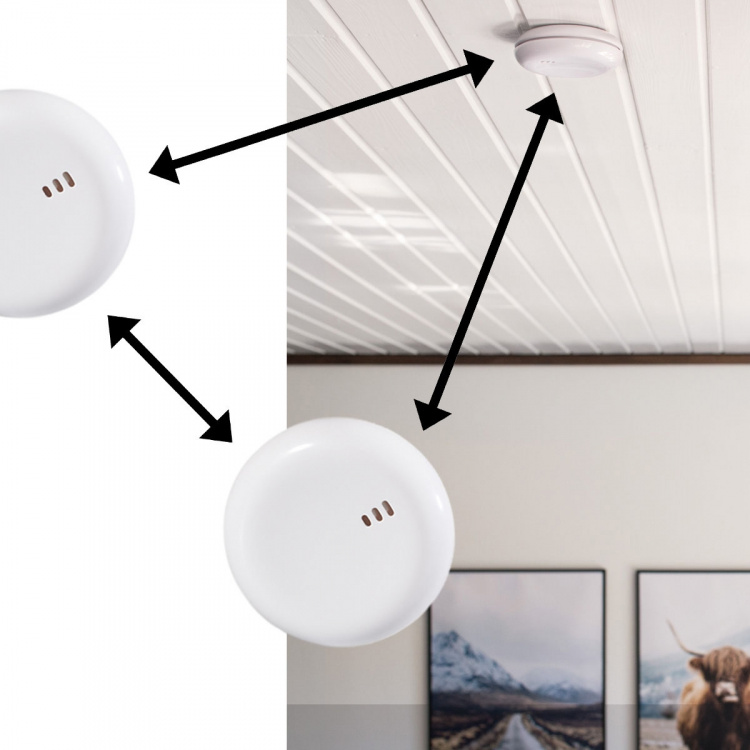 CAPiDi Røykvarsler 2-pakning Hvit