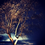 LightsOn Cosmo Markspot 10W 1000lm Grå