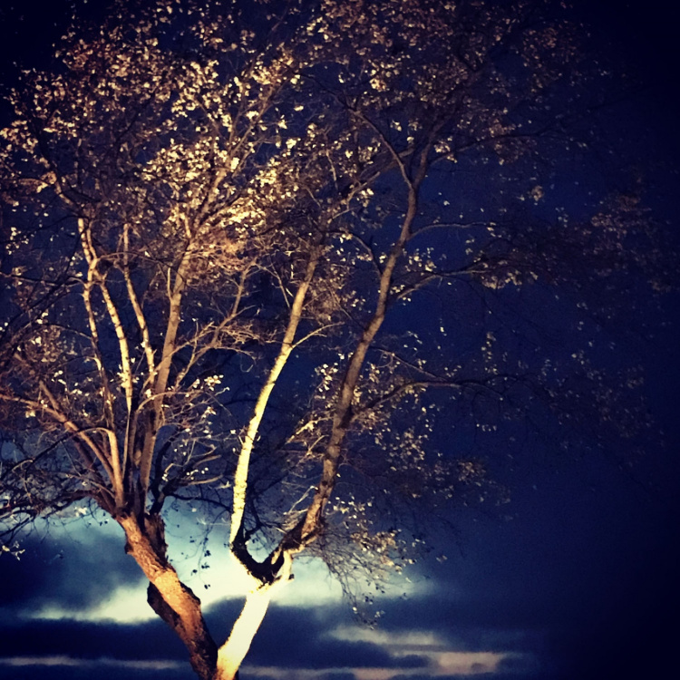 LightsOn Cosmo Markspot 10W 1000lm Grå