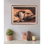 Clementoni Puslespill 500 Pcs CB High Quality Collection Cuddles