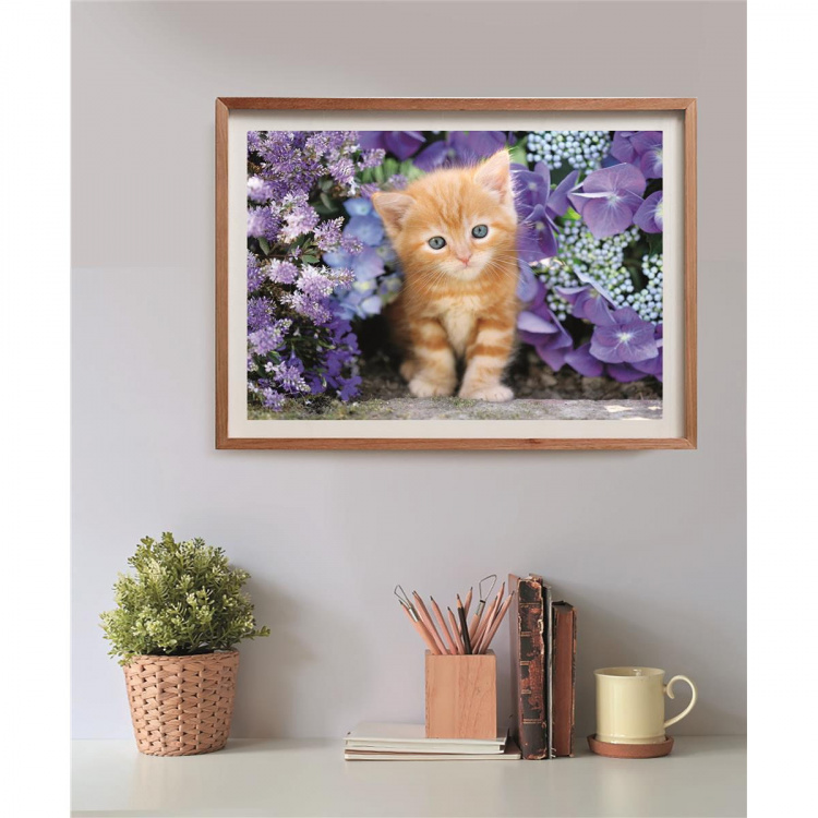 Clementoni Puslespill 500 Pcs CB High Quality Collection Ginger Cat Clementoni Puslespill 500 Pcs CB High Quality Collection Ginger Cat