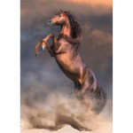 Clementoni Puslespill 500 Pcs CB High Quality Collection Wild Red Stallion