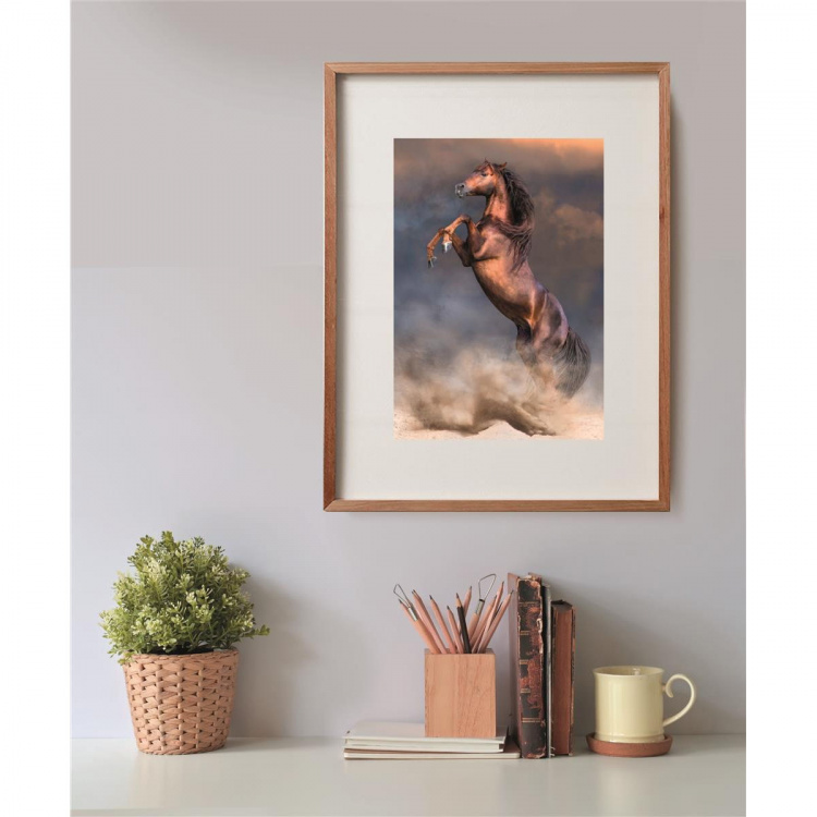 Clementoni Puslespill 500 Pcs CB High Quality Collection Wild Red Stallion