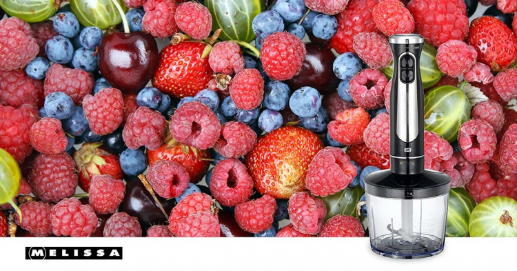 MELISSA Stavmikser med hakker og visp 600W Svart / rustfritt stål