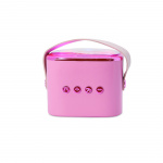 Peppa Pig Karaokehøyttaler med Mikrofon Peppa Gris Popsing LED