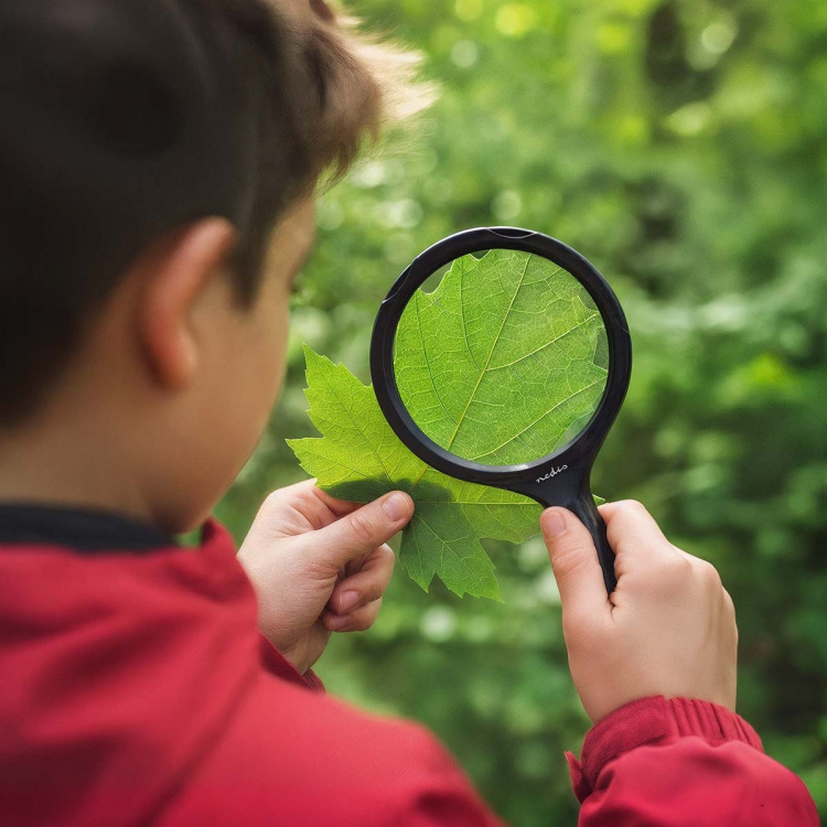 Nedis Håndholdte forstørrelsesglass | Linsestyrke: 4 Diopter | 10000 K | 0.05 W | 9 lm | Sort