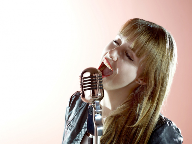 Alecto Retro-mikrofon Krom Alecto Retro-mikrofon Krom