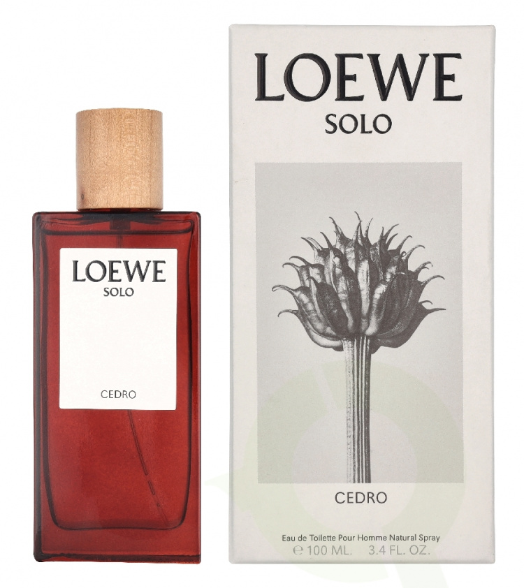 Loewe Solo Cedro Pour Homme Edt Spray 100 ml