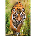 Clementoni Puslespill 1000 Pcs CB The Hunter\'s Path