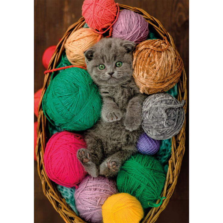 Clementoni Puslespill 500 Pcs CB High Quality Collection Fluffy Kitten