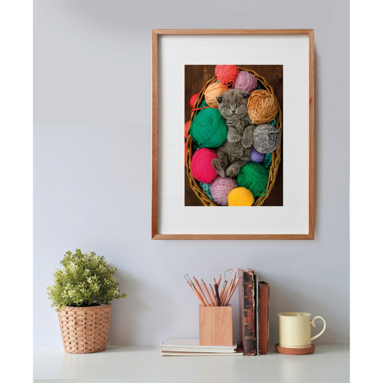 Clementoni Puslespill 500 Pcs CB High Quality Collection Fluffy Kitten