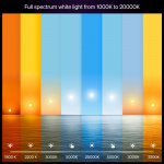 Philips Hue White and Color Ambiance E27 810lm 2-pack